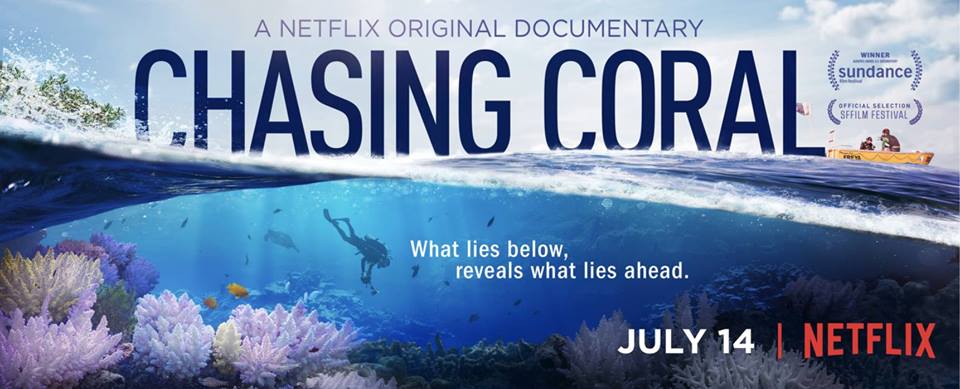 Community Resilience Guild: Chasing Coral
