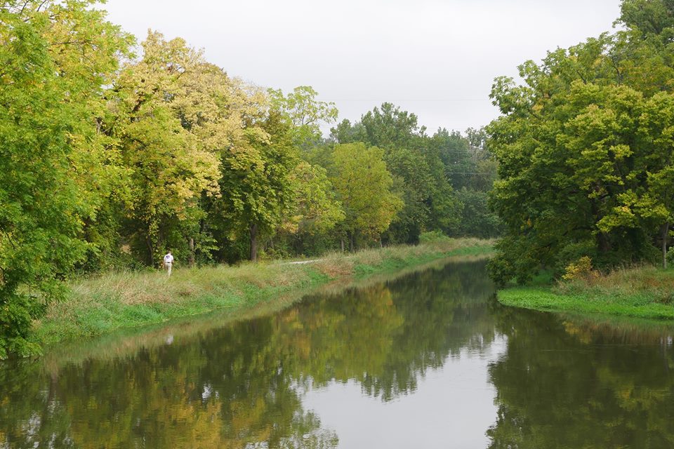 Community Resilience Guild: Millrace Reflections